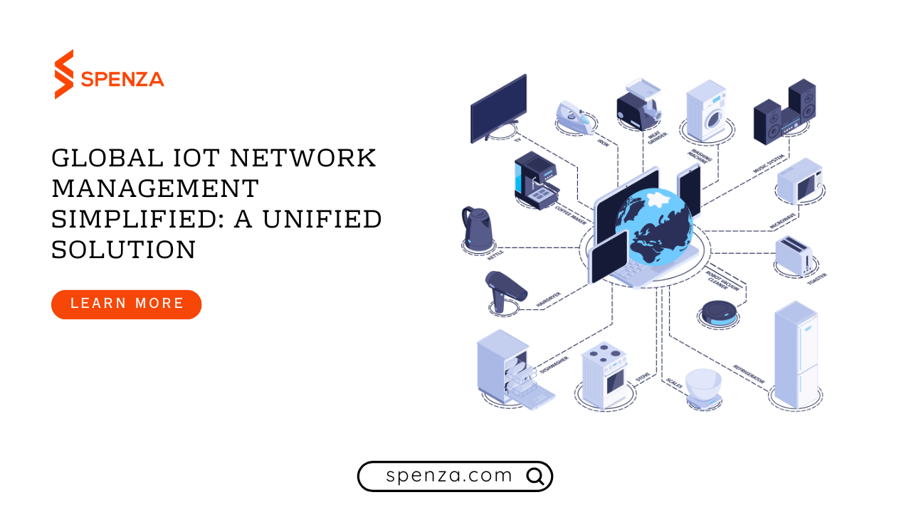 Global IoT Network Management: A Unified Approach