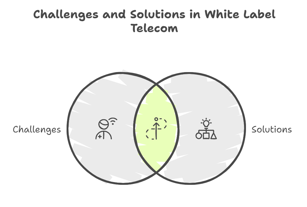  White-Label Telecom Challenges
