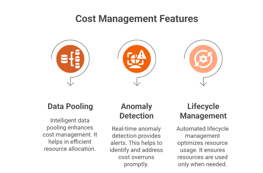Cost Management & Financial Control - IoT CMP