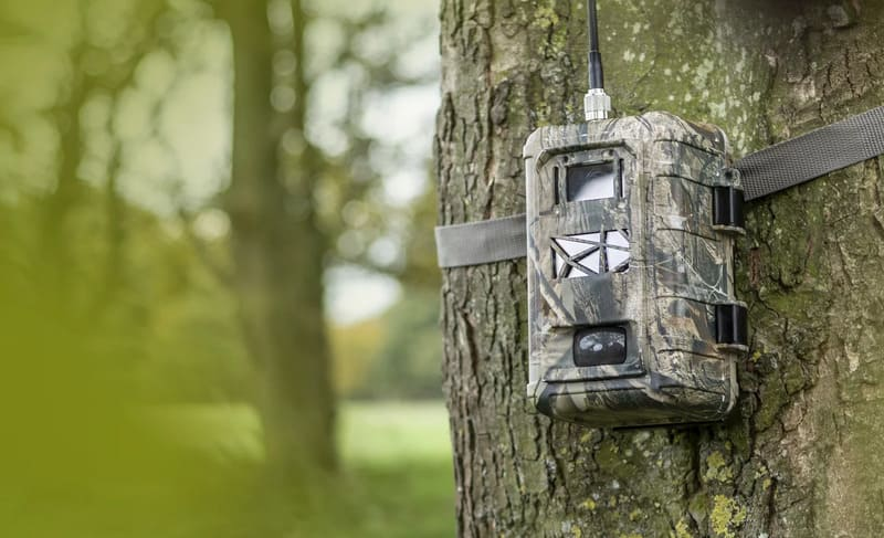 Trail Camera Connectivity Guide