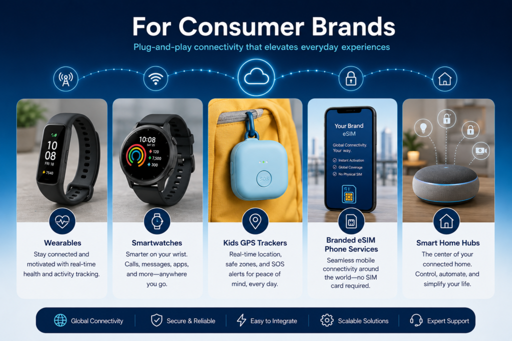 For Consumer Brands: Devices That Carry Your Logo